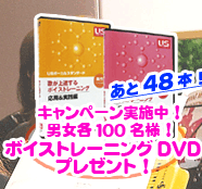 �ܥ����ȥ졼�˥�DVD�ץ쥼���