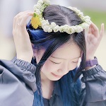 八木